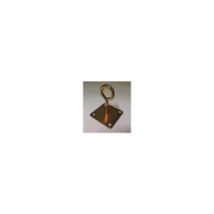 Značkový Deska s okem 60x60x2,5 , oko6x30mm Žl.zn