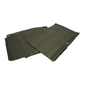 XTLINE Zakrývací plachta PE s oky zelená 70g/m2 | 2x2 m - P19555S Nejlepší Cena
